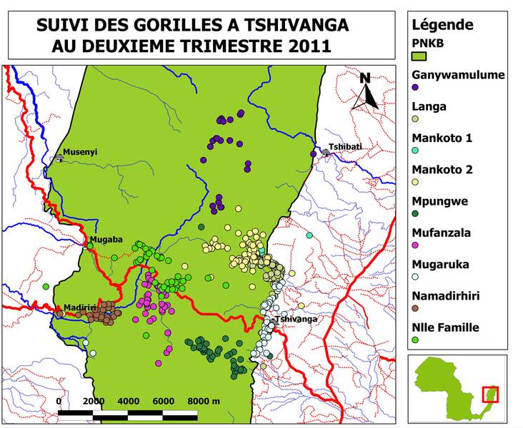 Range areas of the gorilla groups (© Radar Birhashirwa Nishuli)