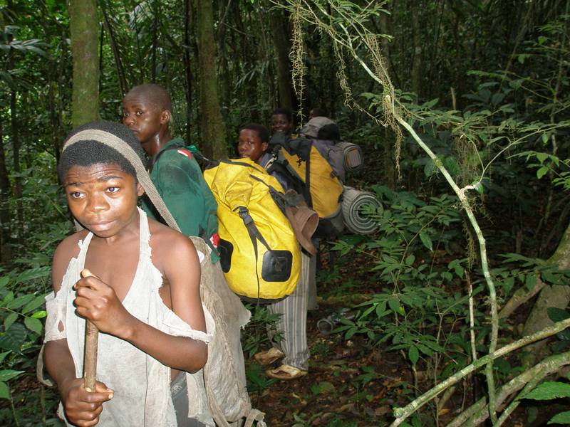 [Translate to EN:] Einheimische Träger bringen die Ausrüstung für die Bestandsaufnahme in den Wald (© Pius Nkumba, WCS TMLP)
