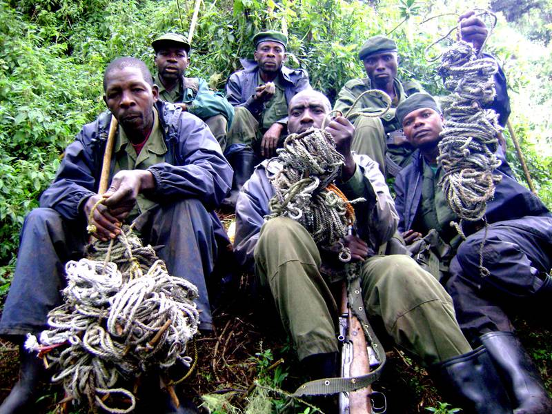 Rangers of the Virunga National Park with snares (© www.gorilla.cd)