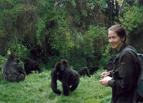 Ymke Warren in einer Gruppe Berggorillas