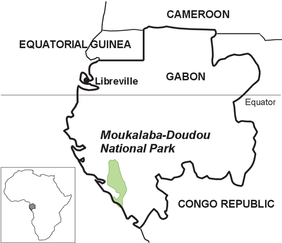 Location of Moukalaba-Doudou National Park (© Chieko Ando)