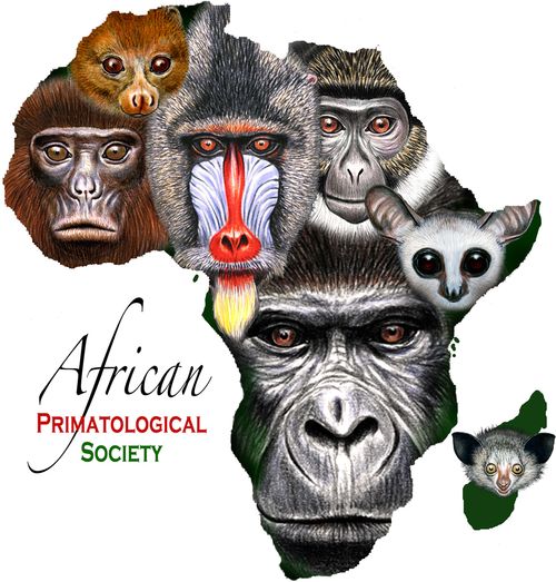 African Primatologists Form Society Berggorilla & Regenwald