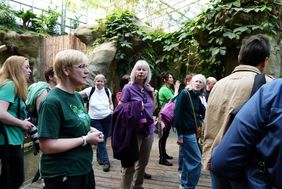 Kerstin Genilke bei der Führung durch die Gorilla-Anlage im Darwineum (© Angela Meder)