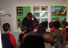 Posters in the exhibition on great apes at the Brazzaville French Cultural Centre (© PPG-Congo)