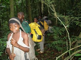 Local porters carry the survey equipment through the forest (© Pius Nkumba, WCS TMLP)
