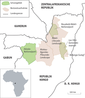 Die in der Studie untersuchten Gebiete und die Gorilla-Schutzgebiete der Region