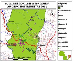 Range areas of the gorilla groups (© Radar Birhashirwa Nishuli)