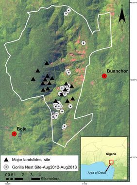 Erdrutsche in Afi (Dreiecke) und Stellen mit Gorillanestern nach den Erdrutschen