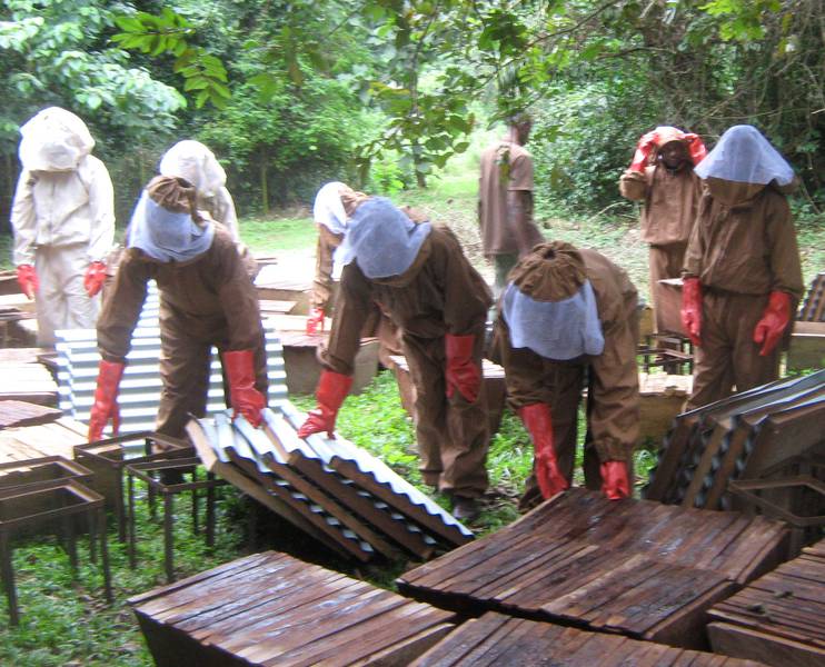 Hunters demonstrate with bee suit and veil during training on bee-keeping in Butatong (© Louis Nkonyu)