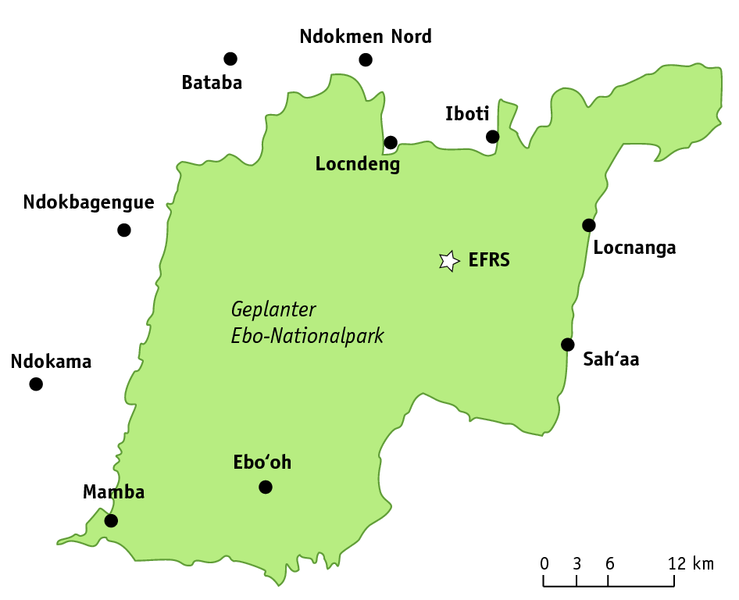 Der Ebo-Wald mit der Forschungsstation (EFRS). Die Gorillas leben etwa in der Mitte zwischen der Station und dem Dorf Iboti.