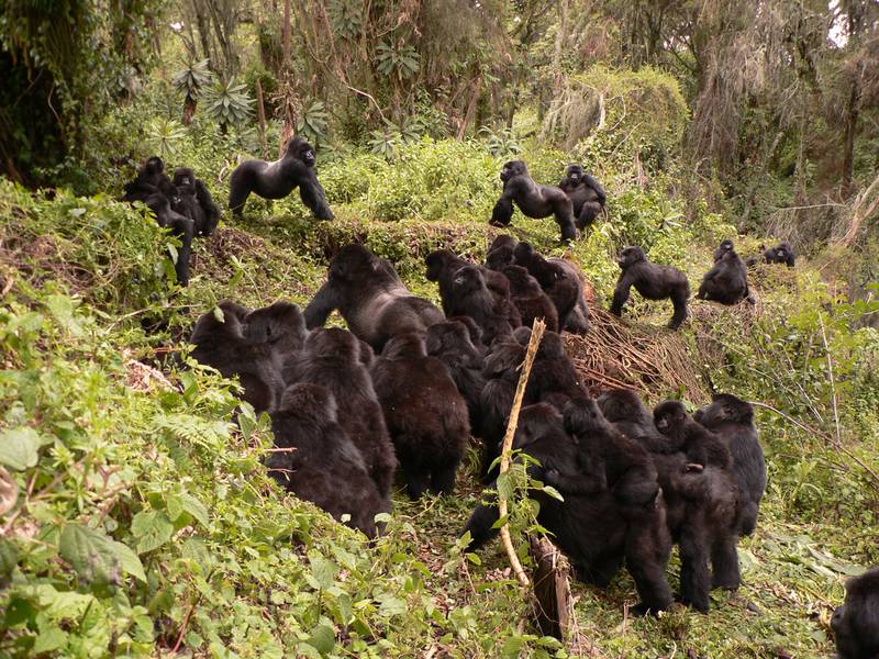 Interaction between the Pablo group and Beetsme’s group (© Veronica Vecellio, DFGFI)