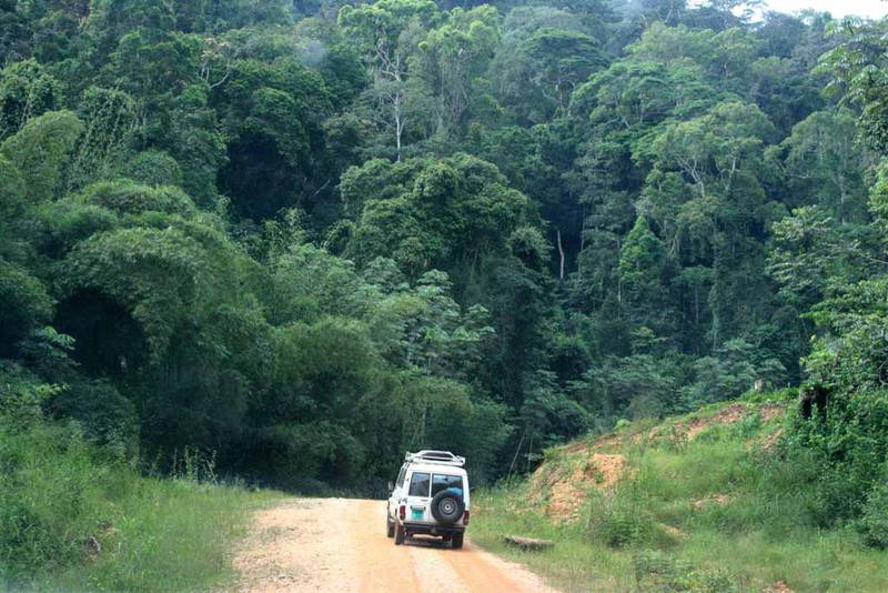 Approaching the Dimonika Biosphere Reserve