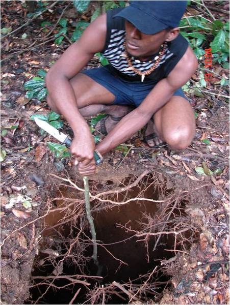 A hole for the dynamite is prepared. (© Luisa Rabanal)