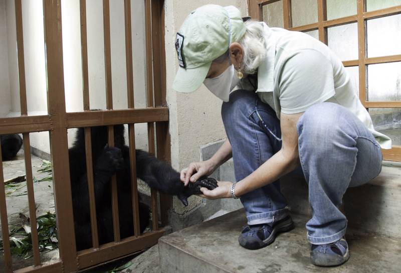 Jan Ramer examines wounds on Ndakasi’s hand. (© Molly Feltner/MGVP)