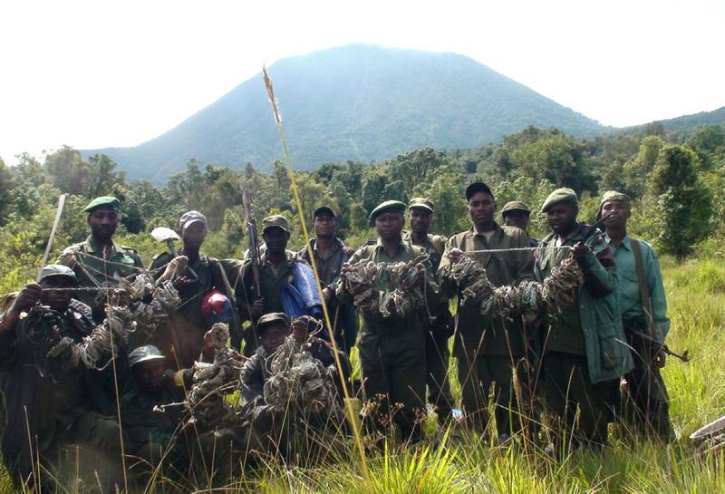 Wildhüter des Virunga-Nationalparks präsentieren Schlingen, die sie bei einer Patrouille im Januar 2009 gesammelt haben