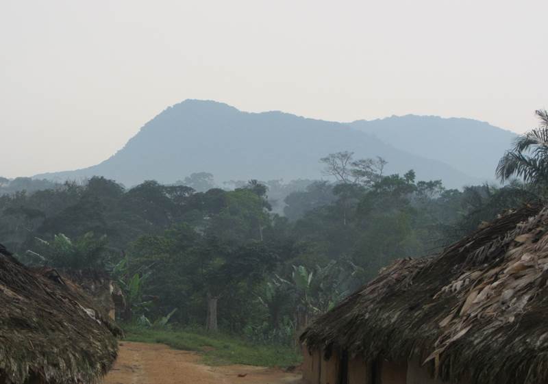 Der Berg Nkomo, auf dem auch Gorillas leben, von Rama aus gesehen (© Stuart Nixon)