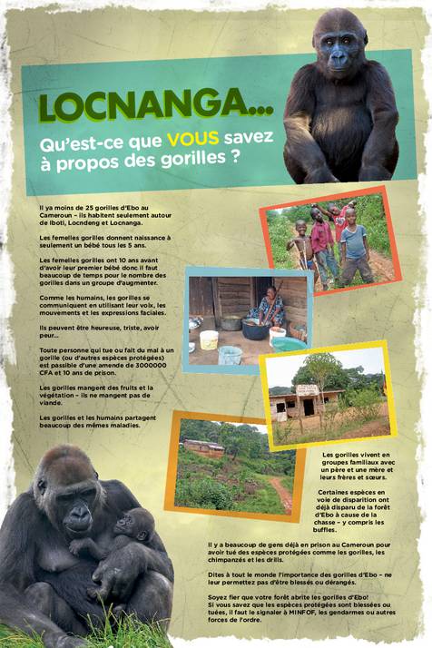 [Translate to EN:] Eine Serie von Postern für die Gemeinden, die nahe den Ebo-Gorillas leben, gestaltet von Bethan Morgan.