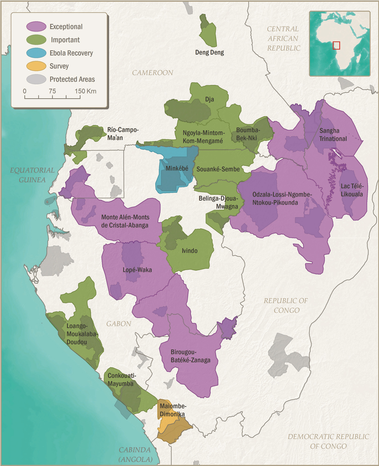 Priority landscapes for western lowland gorilla and central chimpanzee conservation (Courtesy of Danielle LaBruna and Fiona Maisels)