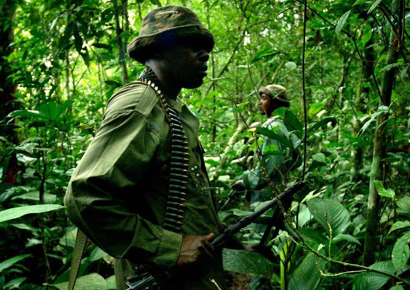 Virunga-Ranger auf Patrouille im dichten Dschungel des Mikeno-Gorilla-Sektors. Virunga-Nationalpark, © Paul Taggart