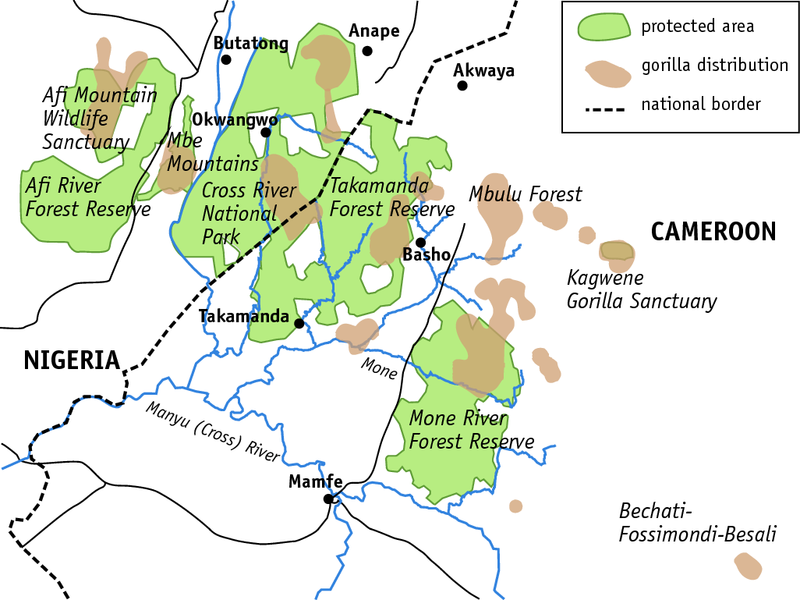 Distribution of the Cross River Gorilla (© Angela Meder, mit Informationen von Rich Bergl)