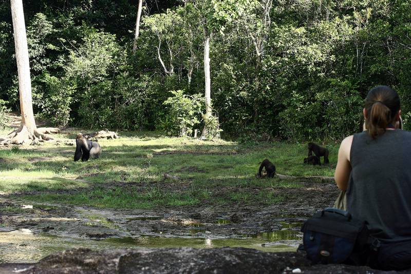 Leanne Van der Weyde viewing the gorillas (© Michelle Klailova)