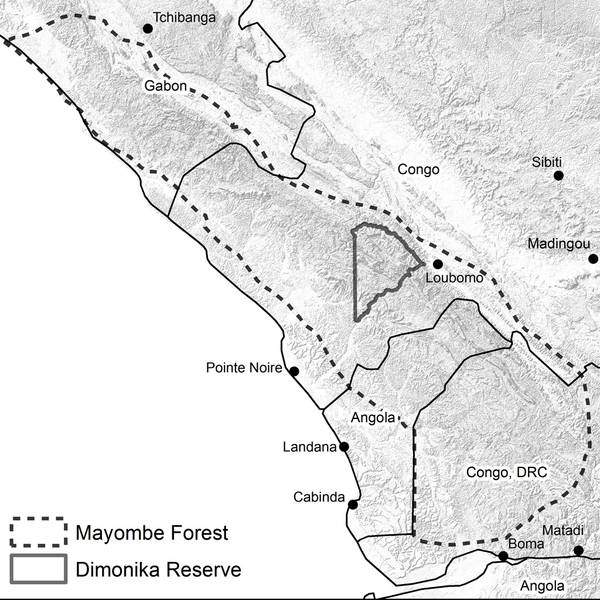 The Mayombe Forest and the Dimonika Biosphere Reserve