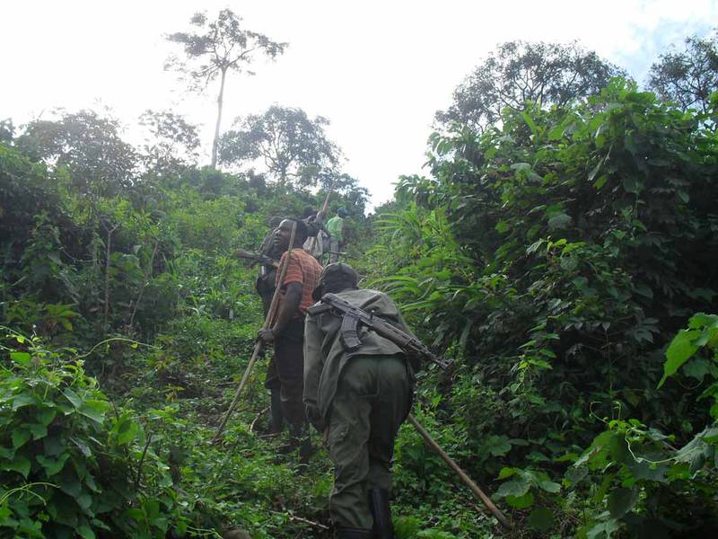 Rangers on patrol in the Sarambwe Reserve (© Augustin Rwimo)