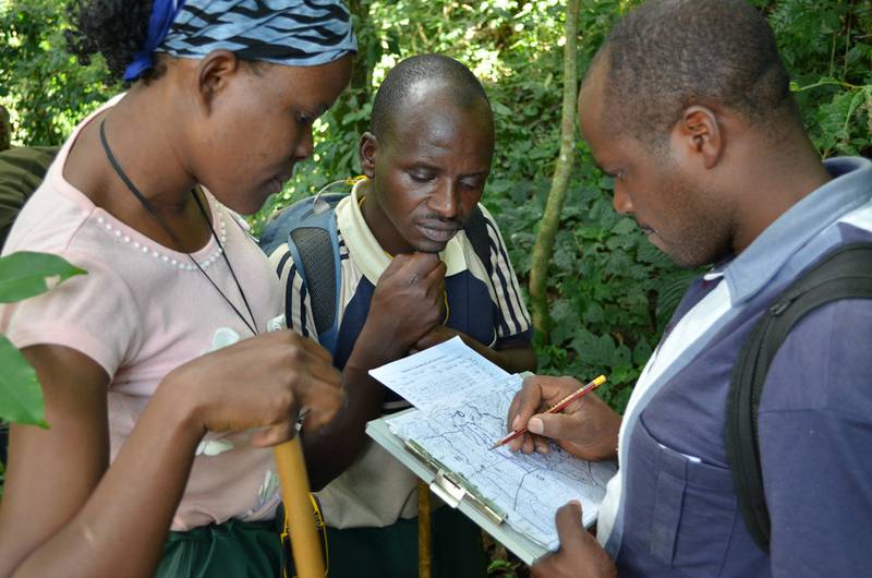 The census team working (© IGCP)